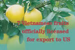 Seven Vietnamese fruits officially licensed for export to US