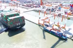 Fertilizer exports set new record