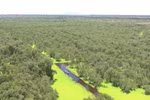 Vietnam in world's top 16 with richest biodiversity