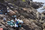 Youngsters join hand to collect trash in Da Den beach