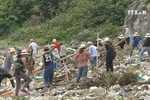 Youth join hands to clean up Son Tra peninsula