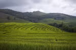 Peaceful charm of terraced rice fields in mountainous Hoa Binh province