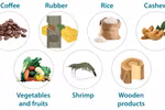 Agro-forestry-fishery export turnover increases over 13%