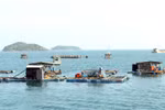 Vietnam seeks sustainable development of fisheries
