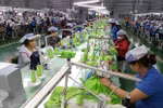 EVFTA opens up new era in EU-Vietnam trade ties: Italian experts 
