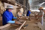 Vietnam’s wood exports to EU likely to reach 1 billion USD thanks to EVFTA