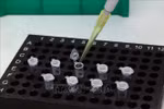 Many countries order made-in-Vietnam SARS-CoV-2 test kits