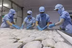 Fisheries export slump eases in September, signs of recovery seen