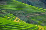 Sa Pa, Ninh Binh named in Asia’s up-and-coming destinations by TripstoDiscover