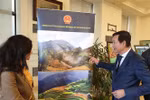 Vietnamese culture on show in Egypt’s second-largest city