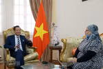 Vietnam's National Day celebrated in Egypt, South Africa