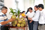 Tra Vinh gets brand certifications for agricultural products