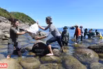 SOS from polluted beaches