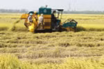 Credit package for hi-tech agriculture hoped to become fruitful