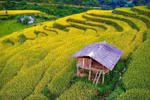 Cao Bang: Stunning beauty of under-the-radar tourist sites