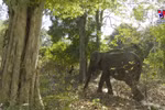 National Parks combining tourism with wildlife conservation