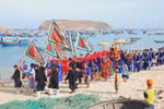 Binh Thuan approves whale-worshipping festival conservation project