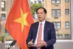 Deputy Prime Minister and Foreign Minister Bui Thanh Son (Photo: VNA)