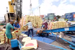 Vietnam exports 6.16 million tonnes of rice in the first eight months of this year. (Photo: VNA)