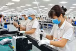Da Nang steps up startup investment activities with Japanese partners