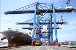 Domestic firms to receive consultations to strengthen export to RCEP markets
