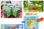 Quang Ninh farms turn to tech to grow agriculture sector 