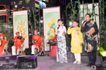 Ho Chi Minh City festival highlights world cultures