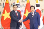 VNA, Yonhap to hold photo exhibition celebrating Vietnam-RoK diplomatic ties