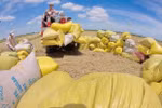 Room for ASEAN rice exports to grow: MoIT