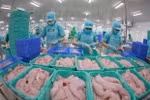 Strong demand to fuel tra fish exports in Q2: VASEP