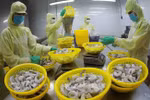 Aquatic exports enjoy 25 percent growth last month