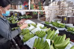 Vietnam strives for export growth rate of 5-6 percent in 2021-30