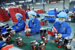 Number of new enterprises in Ca Mau surges