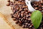 Vietnam sees more chances for coffee exports to the US