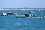 Khanh Hoa eyes sustainable development of industrial seaculture 