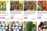 Provinces turn to e-commerce to sell agricultural produce