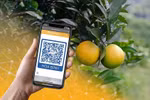 7.5 million farming households to be connected to Postmart.vn