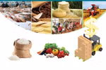 Agro-forestry-fishery exports exceed 53 billion USD in 2023