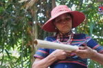Study tourism promoted in ethnic minority communities
