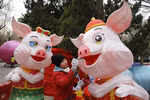 Pig – zodiac sign of Lunar New Year 2019