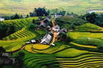 Sa Pa, Ninh Binh ‘in the Top’ most attractive points to explore in Asia