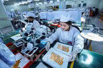 Newly-established enterprises at record high in 2023