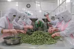 Agriculture minister views export target of 44 bln USD as feasible