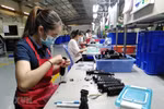 Finnish firms eye investment in Dong Nai