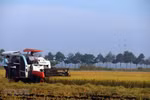 Vietnam holds first national dialogue on food systems 