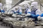 Agro-forestry-fisheries exports up over 24 percent in Jan-Apr