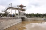 Saltwater intrusion to affect crops in Mekong Delta, farmers take preventive measures