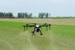 Ba Ria-Vung Tau: Agricultural mechanisation benefits local farmers