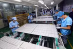 2021-2030 national strategy on green growth holds significant role: official