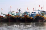 Binh Thuan province makes progress in fighting IUU fishing